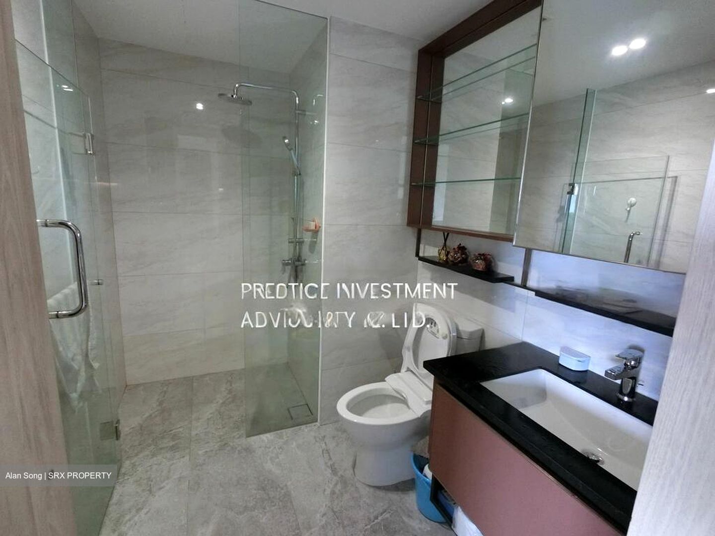Normanton Park (D5), Apartment #497139081